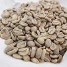 有機コーヒー生豆(アラビカ種 2021年産)