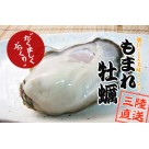 【送料無料】三陸唐桑産 特別育成牡蠣 「もまれ牡蠣」(生食用)