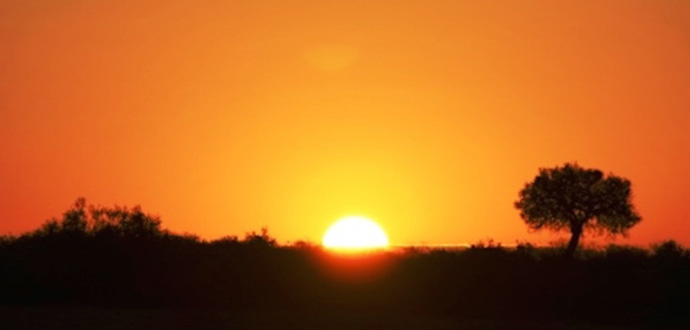 アフリカの夕日