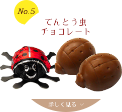 No.5 てんとう虫チョコレート