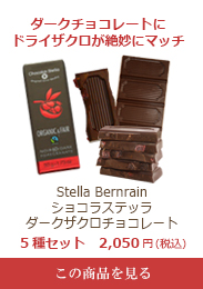 Stella Bernrain ショコラステッラ ダークザクロチョコレート