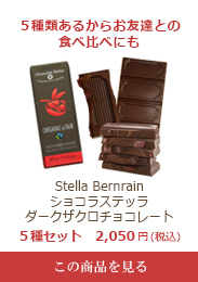 Stella Bernrain ショコラステッラ / ダークザクロチョコレート